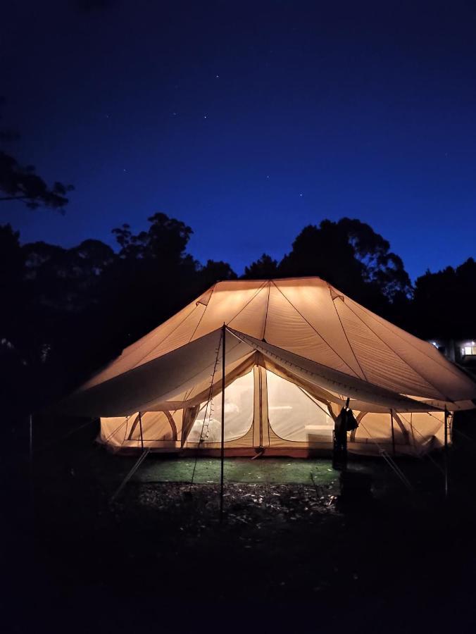 Glamping At Zeehan Bush Camp Exterior foto