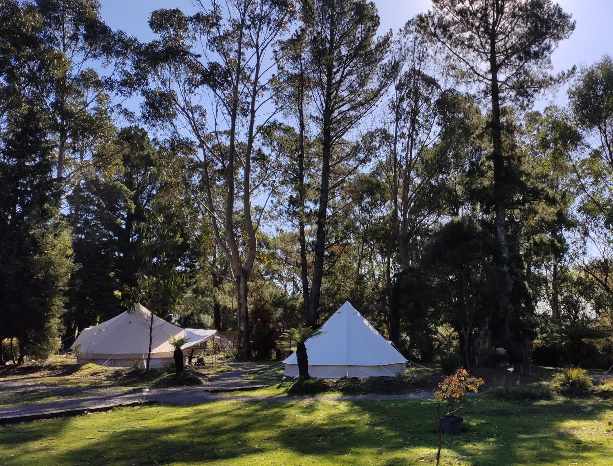 Glamping At Zeehan Bush Camp Exterior foto